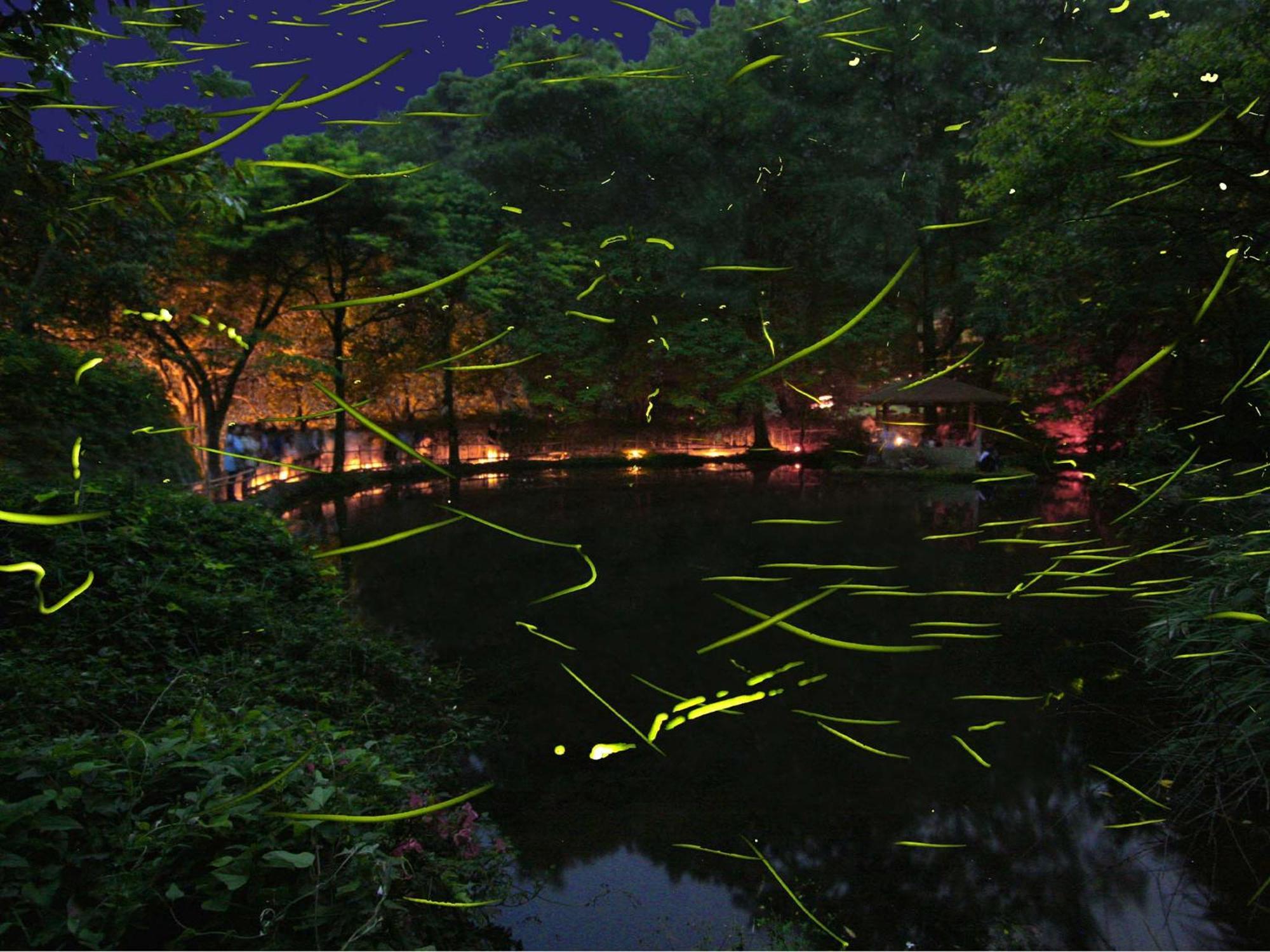 Izu Katase Onsen Ayumitei Fukumatsuso Hotell Higashiizu Eksteriør bilde
